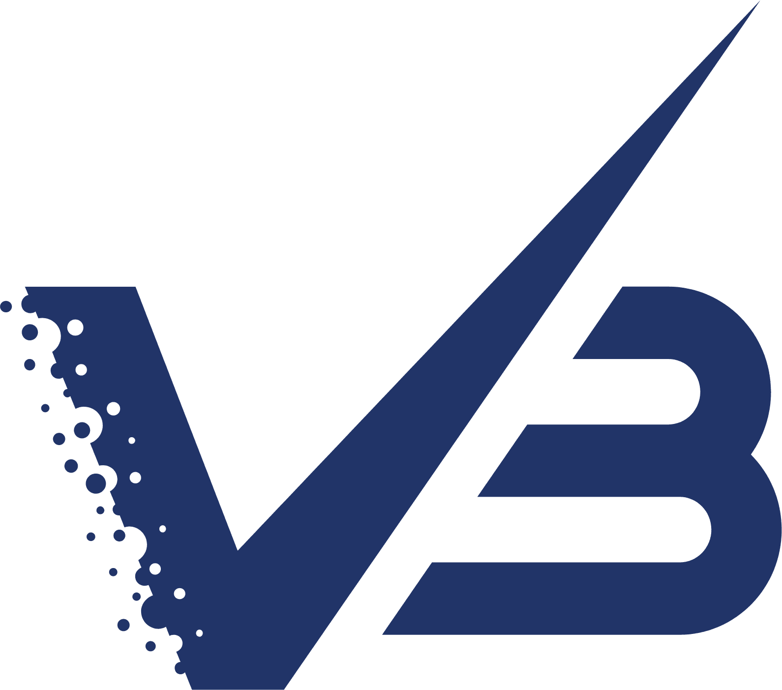 Marketing Strategy of Varun Beverages: Varun Beverages Logo