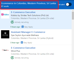 Ecommerce Courses in Colombo - Job Statistics