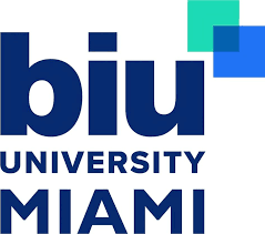 Mba In Digital Marketing In Atlanta - BIU University logo