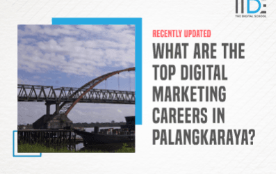 A Detailed Guide On Digital Marketing Careers In Palangkaraya – Everything You Need To Know