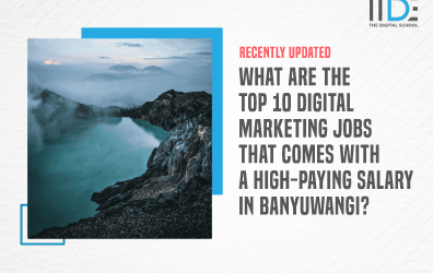 Know All About The Digital Marketing Salary in Banyuwangi