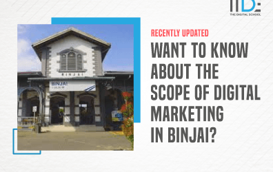 Scope of digital marketing in Binjai