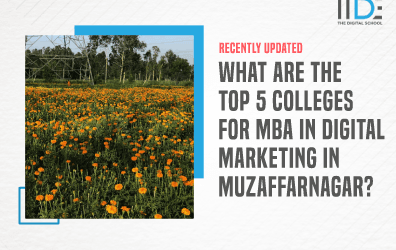 Top 5 Colleges For Mba In Digital Marketing In Muzaffarnagar To Elevate Your Marketing Career
