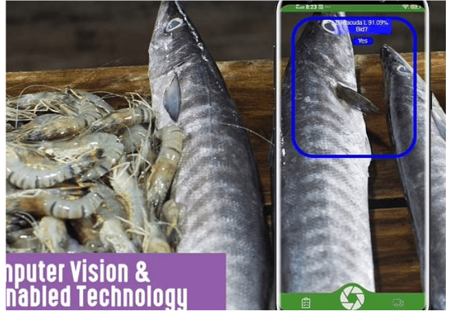 marketing strategy of fresh to home-fisherman app