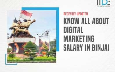 Know All About The Digital Marketing Salary in Binjai