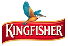 a case study of kingfisher airlines