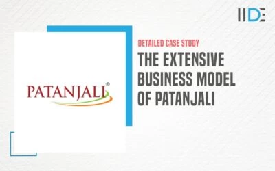 Extensive Business Model of Patanjali